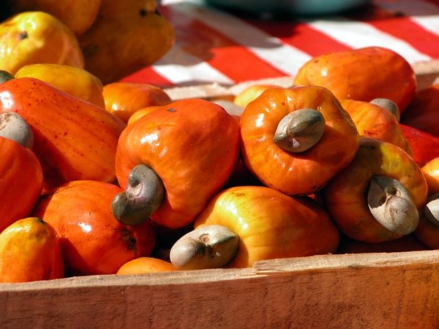 Cashewnoten: slecht voor de wereld