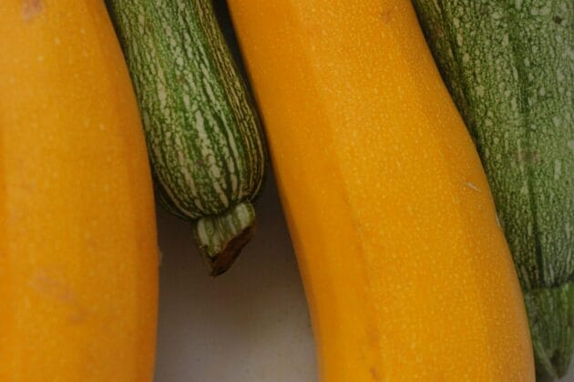 Courgette